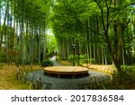 Bamboo Forest Path at Shuzenji Temple, Izu City, Shizuoka Prefecture.