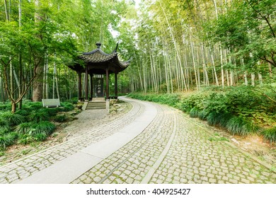 Bamboo Forest Trail Of Hangzhou Famous Scenic , In China