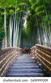 Bamboo Forest Travel Background Japan