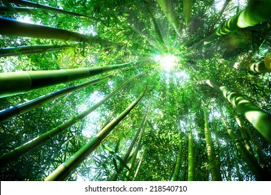 Zen Bamboo Images Stock Photos Vectors Shutterstock