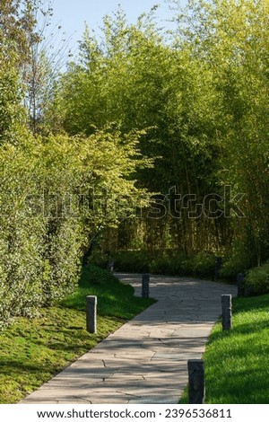 Bamboo grove in Krasnodar Japanese garden. Walking path made of flat stones in bamboo grove. Japanese cylindrical stone lanterns are installed on both sides of path. Krasnodar Park or Galitsky Park.