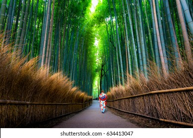 Bamboo Grove In Kyoto
