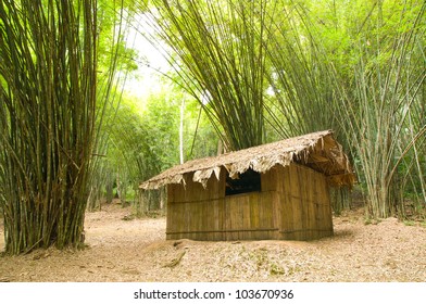 Bamboo house in the jungle