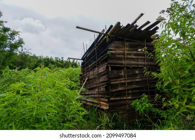 Bamboo Hut In The Bush