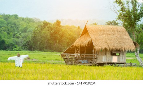 Bamboo huts, rice fields and above him and the beautiful sky at Huai Tueng Thao Chiang Mai, Thailand