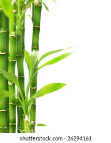 Bamboo Isolated On White Stock Photo (Edit Now) 26294161