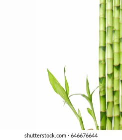 Bamboo Isolated Stock Photo (Edit Now) 80449033