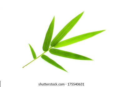 Bamboo Leaf Isolate On White