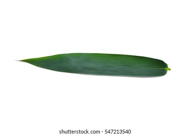 Bamboo leaf isolated on white background