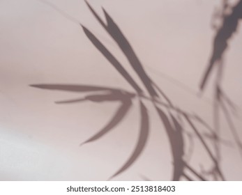 Bamboo leaf shadow on pastel background for minimalist background - Powered by Shutterstock