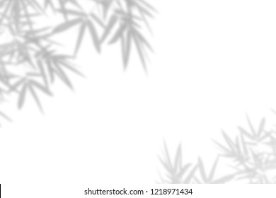 Bamboo leaf shadow on white wall Background. Blank copy space. - Powered by Shutterstock