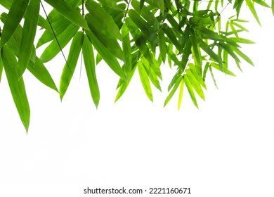 26,272 Bamboo Single Images, Stock Photos & Vectors | Shutterstock