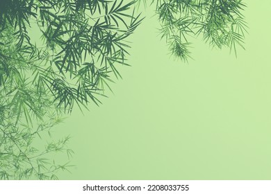 Bamboo Leaves In Fresh Clear Morning Air. A Serene In Green Nature Atmosphere Of Beautiful Bamboo Forest. Blurred Image In Cool Tone For Spring And Summer Background And Wallpaper.