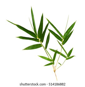 Bamboo Leaves Isolated On White.