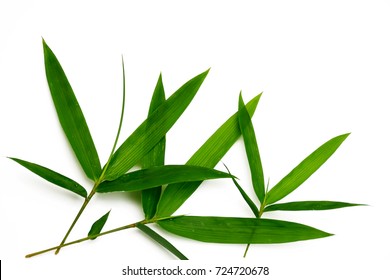 Bamboo Leaves High Res Stock Images Shutterstock