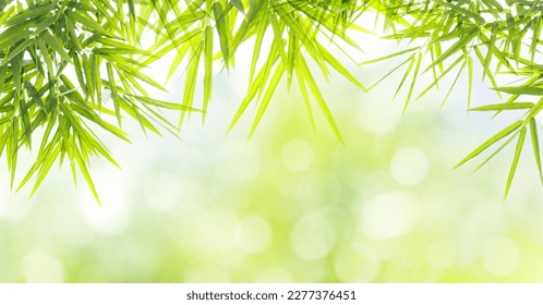 Bamboo leaves with natural light in blur background - Powered by Shutterstock