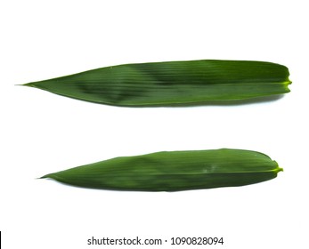 The bamboo leaves on white background. White isolation background with clipping path. Close up. Focus leaf. Natural. Save tree save life.