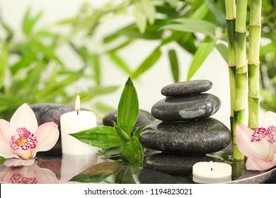 802,810 Spa green Images, Stock Photos & Vectors | Shutterstock