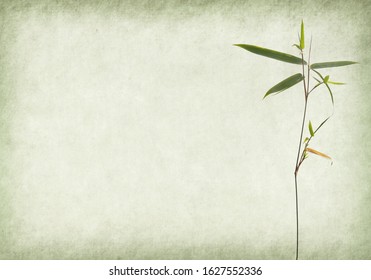 bamboo paper pc download