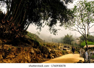 Bamboo On The Path In The Villages Of The Sapa Mountains During A Trek With The Hmong Ethnic Minority, North Vietnam