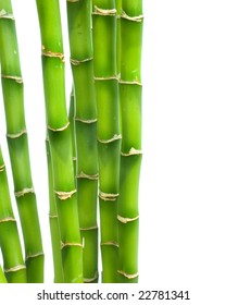 Bamboo Over White Stock Photo 22781341 | Shutterstock