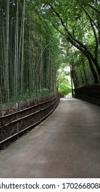 bamboo path in korena garden