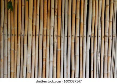 Bamboo Pipe Backgroundwooden Background Sections Bamboo Stock Photo ...