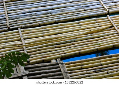 Bamboo Rafts On Rio Grande, Jamaica