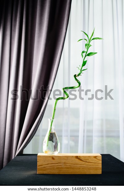 Bamboo Sprout Vase Growth Symbol Chinese Stock Photo Edit Now