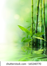 Bamboo Stalks On Water - Blurs 