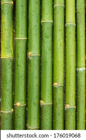 374,646 Background green bamboo Images, Stock Photos & Vectors