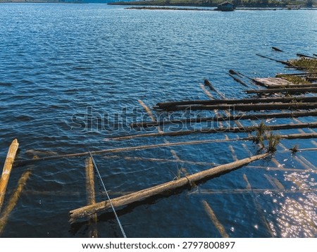 Bamboo structure floating on the surface of a calm lake in a rural area