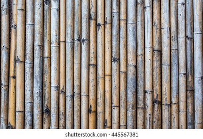 Bamboo Texture Background