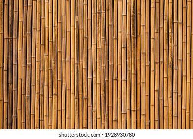 fondo de textura de bambú para diseño interior o exterior. 