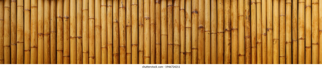 Bamboo texture wood natural patterns brown. Closeup trunk plant of wooden bamboo poles, wall fence vintage seamless background. Surface bamboo panorama for decoration style Asia Thailand, Japan