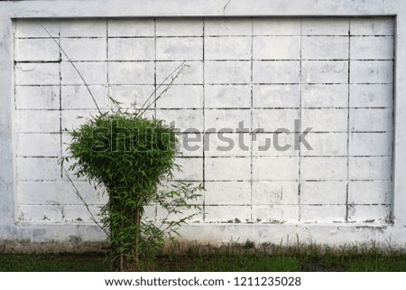 Similar – Image, Stock Photo biomass heating