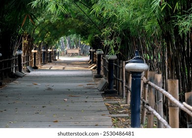 Bamboo trees curve towards each other to form a long walkway archway. - Powered by Shutterstock