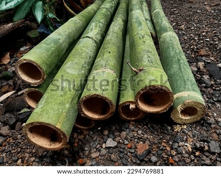 Bamboo trees for woven carvings are also used as a place for poles, beautiful and strong,, dark green color