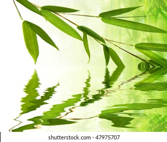 Bamboo Twig Reflecting In Water Level