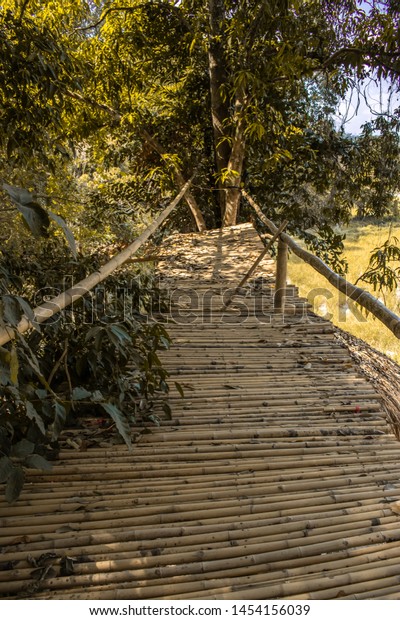 Bamboo walking bridge over a\
grass filed being hold up by a tree, Walking bridge high up on the\
trees.