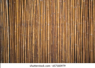 Bamboo wall or Bamboo fence texture background