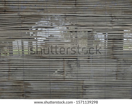 Similar – Image, Stock Photo Portrait of a photographer
