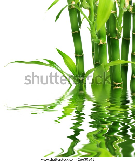 Bamboo Water Stock Photo (Edit Now) 26630548