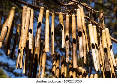 Bamboo Wind Instrument Hanging From A Tree