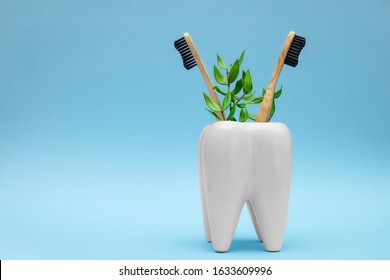 Bamboo wooden toothbrushes with green branch leaves in white toothbrush holder in form of tooth on blue pastel background. Dental health medical care concept. Copy space. Eco friendly goods  - Powered by Shutterstock