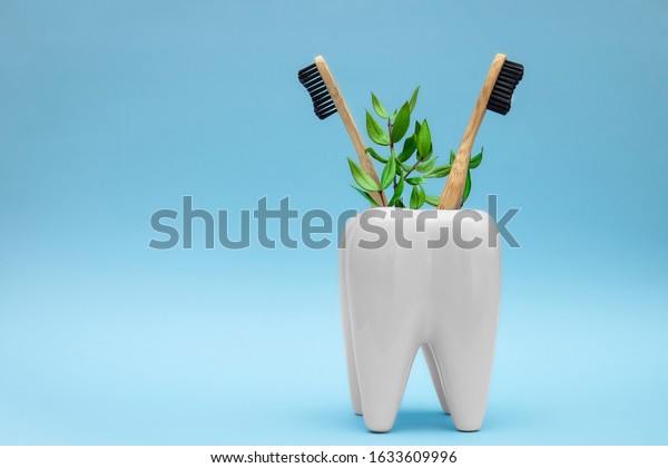 Bamboo wooden toothbrushes with green branch leaves in\
white toothbrush holder in form of tooth on blue pastel background.\
Dental health medical care concept. Copy space. Eco friendly goods\
