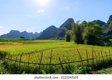 Ban Gioc Waterfall In Cao Bang, Viet Nam - The Waterfalls Are Located In An Area Of Mature Karst Formations Were The Original Limestone Bedrock Layers Are Being Eroded