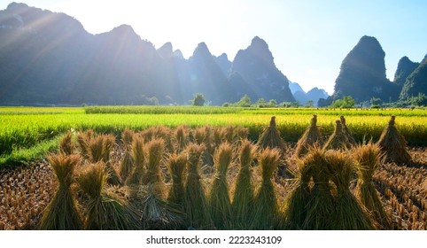 Ban Gioc Waterfall In Cao Bang, Viet Nam - The Waterfalls Are Located In An Area Of Mature Karst Formations Were The Original Limestone Bedrock Layers Are Being Eroded