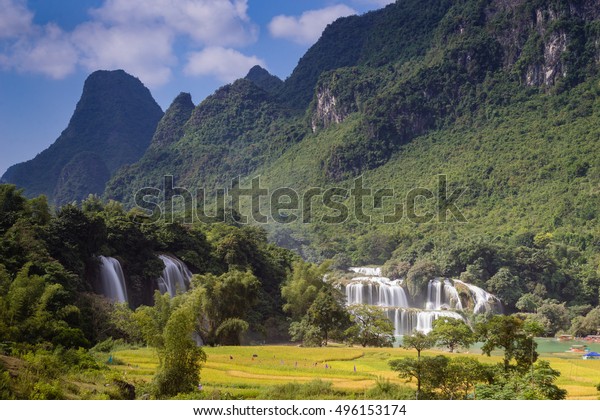 Ban Gioc waterfall in\
north of Vietnam. The main of Ban Gioc is divided by two parts for\
Vietnam and China.
