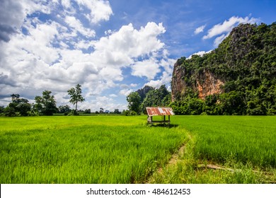 Ban Mung Noen Maprang Phitsanulok Thailand Stock Photo 484612453 ...